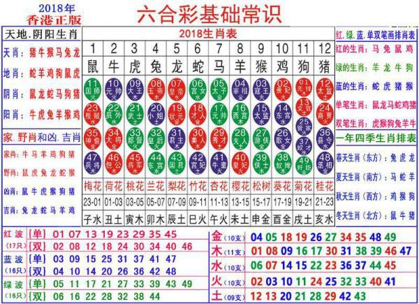 澳门正版资料大全资料生肖卡精选解析、落实与策略