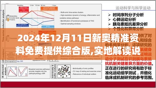 2025全年正版资料免费资料公中，综合解答解释落实_rwf86.59.33